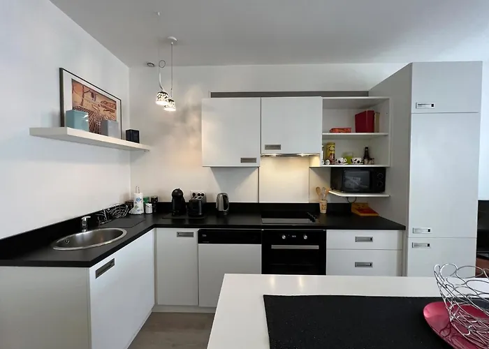 Le Victoria I - Point - 50m2 * 南锡